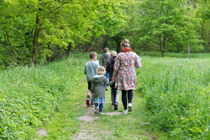 pflege-adoptivfamilien_2024